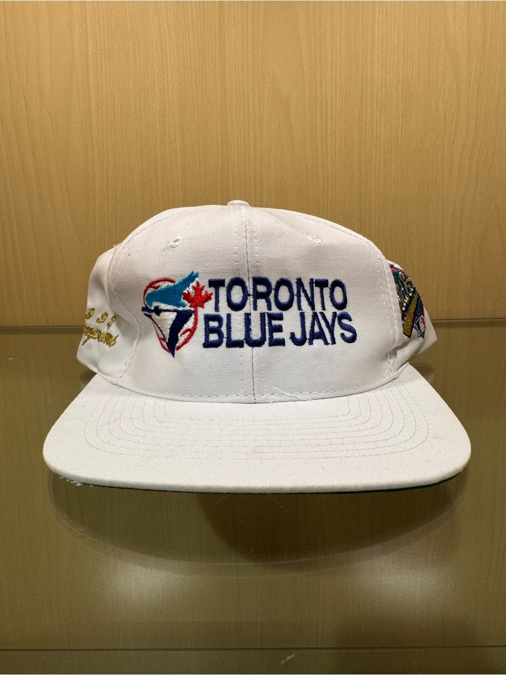 Vintage 1992 The Game Toronto Blue Jays World Series SnapBack Hat mlb baseball